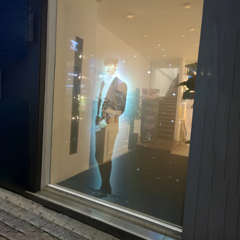 3D Holographic Projection Film - Home Cinema Screen recension och pris